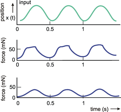 Archived Page: Neural Networks as Cybernetic Systems - Part